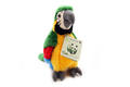 15.170.015 Зеленый попугай WWF, мягкая игрушка (18 см.)