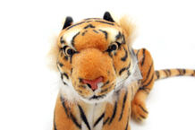 HW60BR Тигр коричневый (60 см)
